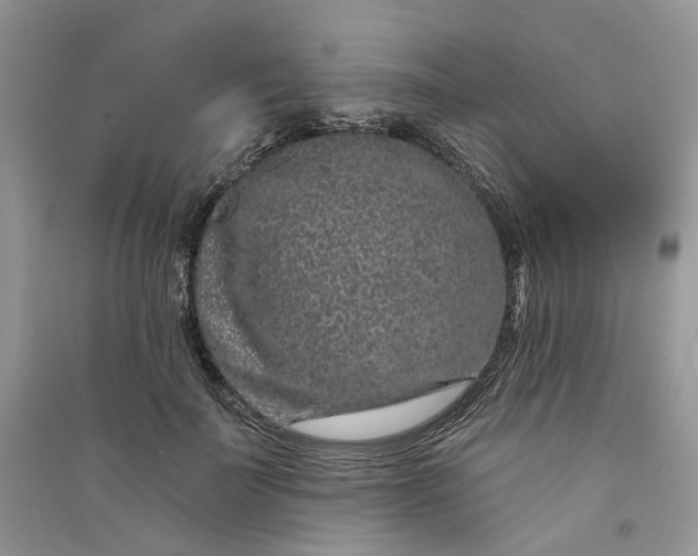 X0000090910699200708131413