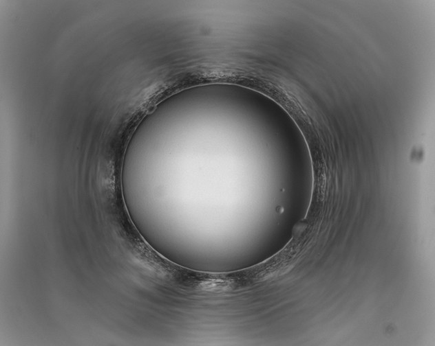 X0000090910700200708131413