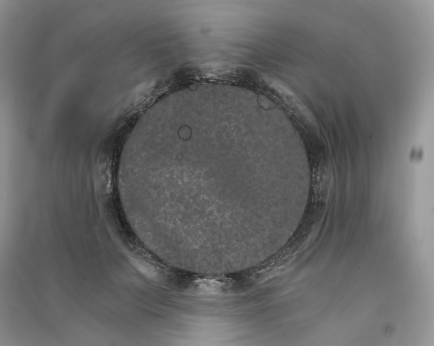 X0000090910703200708131413