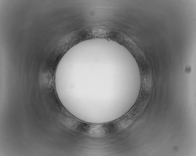 X0000090910705200708131412