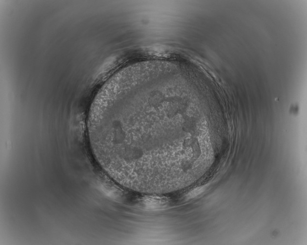 X0000090910707200708131412