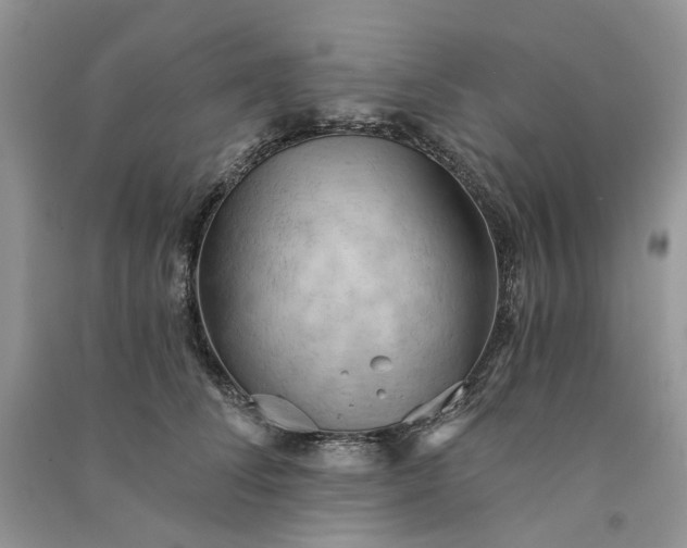 X0000090910708200708131412