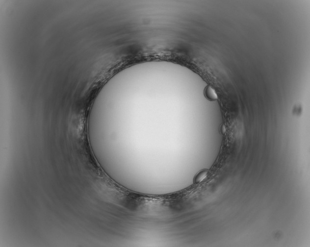 X0000090910709200708131412