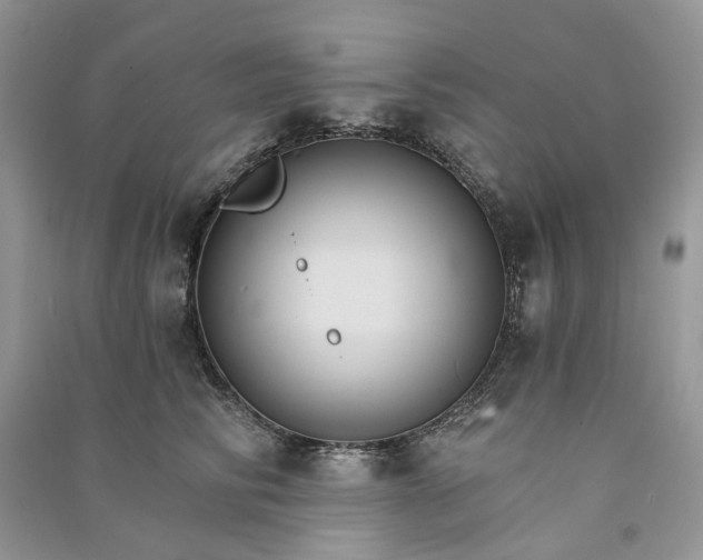 X0000090910710200708131412