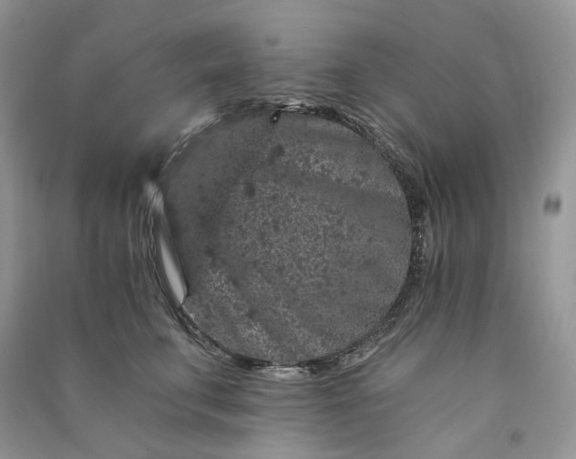 X0000090910711200708131412