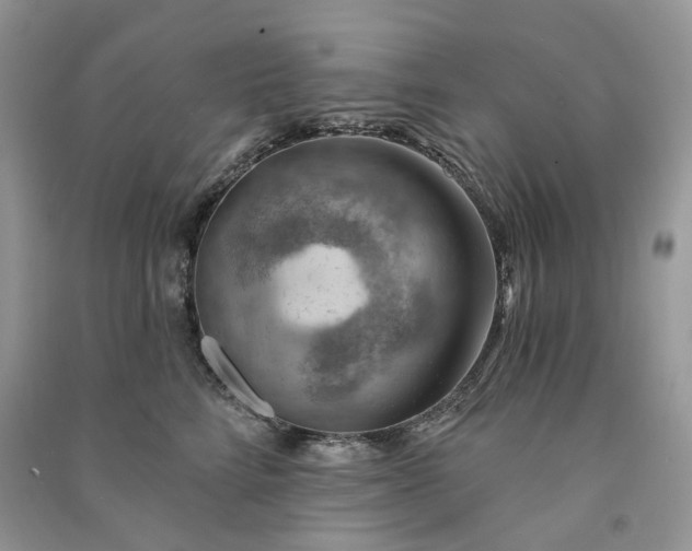 X0000090910712200708131412