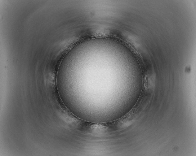 X0000090910714200708131412