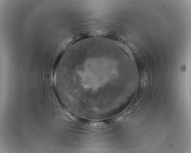 X0000090910716200708131412