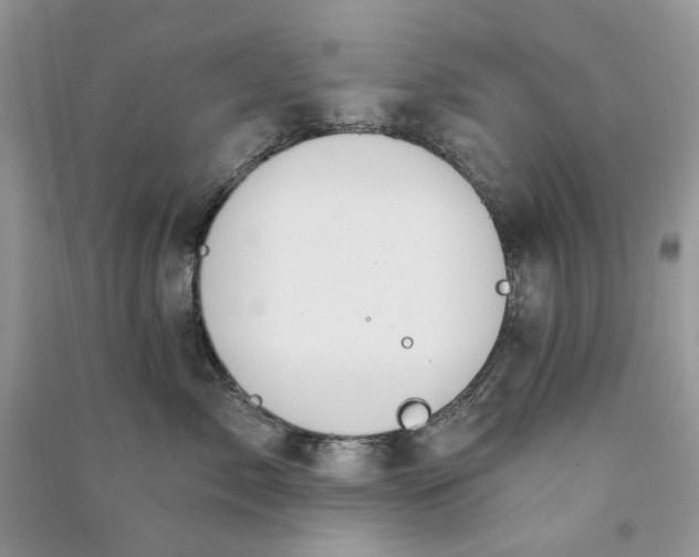 X0000090910717200708131412