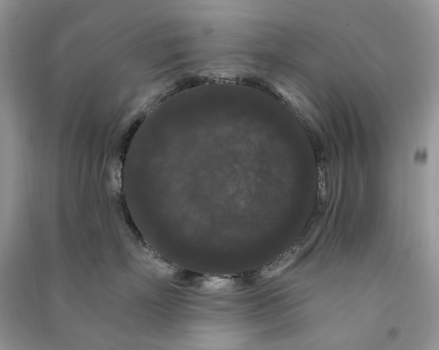 X0000090910718200708131412