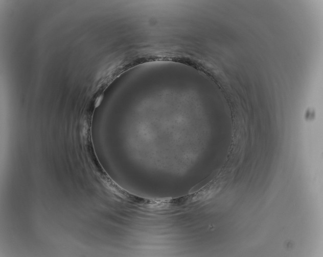 X0000090910720200708131412