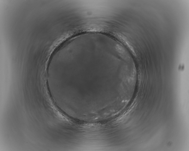 X0000090910721200708131412