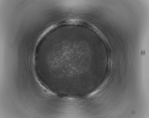 X0000090910722200708131412