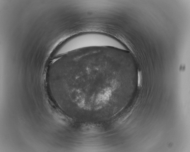 X0000090910723200708131412