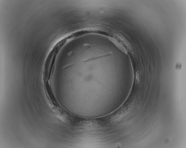 X0000090910724200708131412