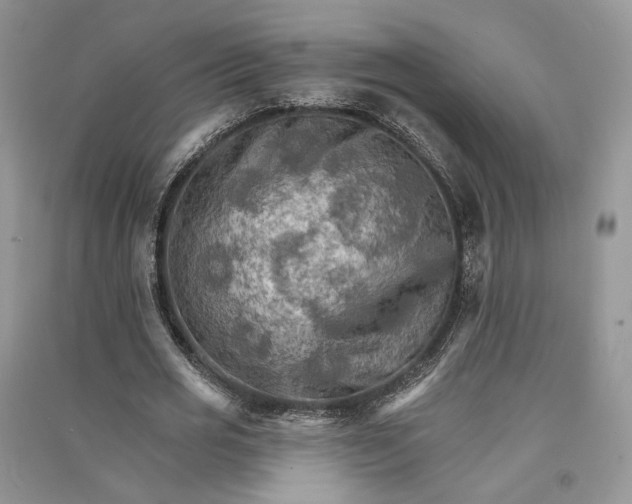 X0000090910725200708131412