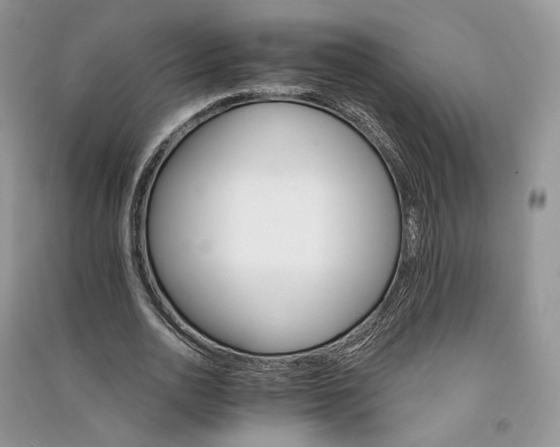 X0000090910726200708131412