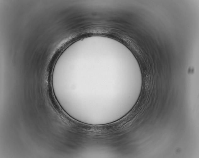 X0000090910727200708131412