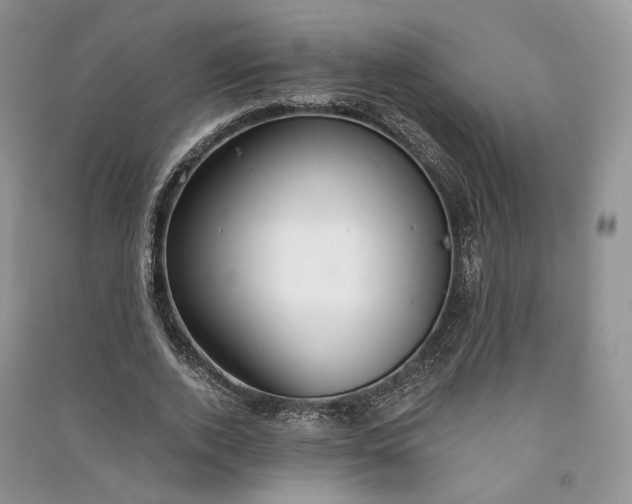 X0000090910728200708131412