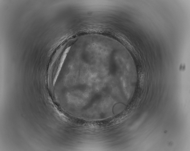 X0000090910729200708131412