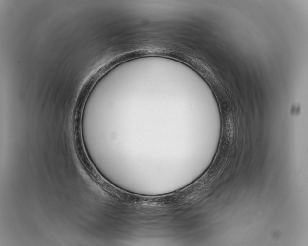 X0000090910730200708131412