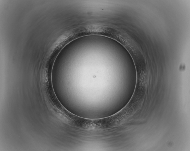 X0000090910731200708131412