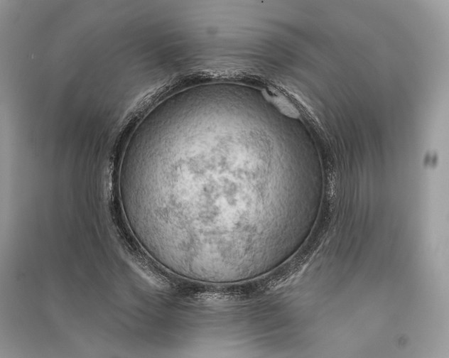 X0000090910733200708131412