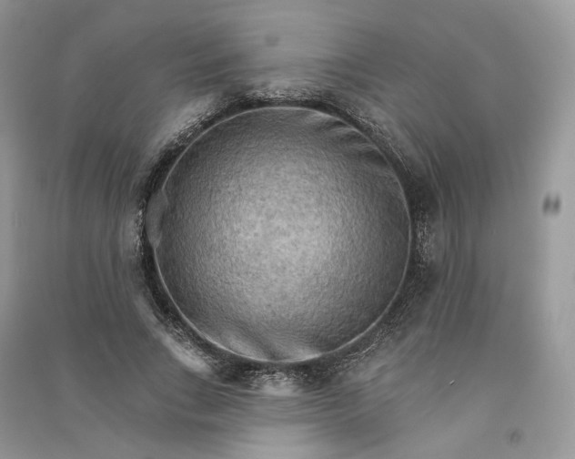 X0000090910735200708131412