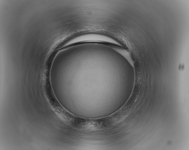 X0000090910736200708131412