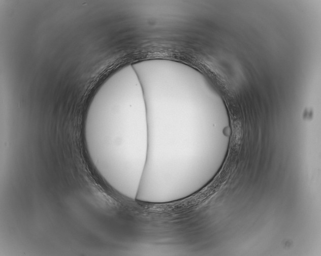 X0000090910737200708131412