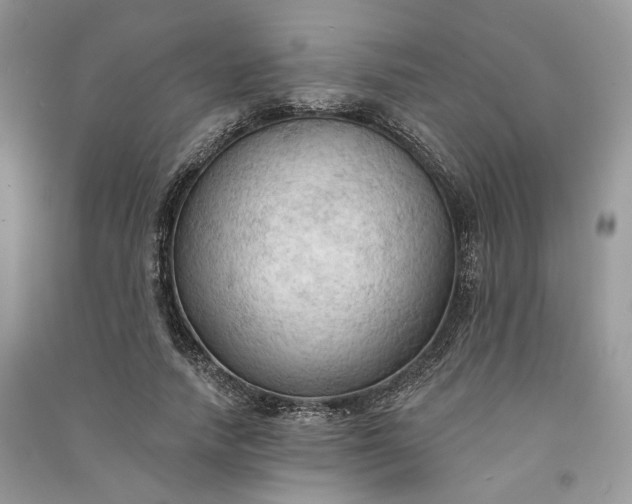 X0000090910738200708131412