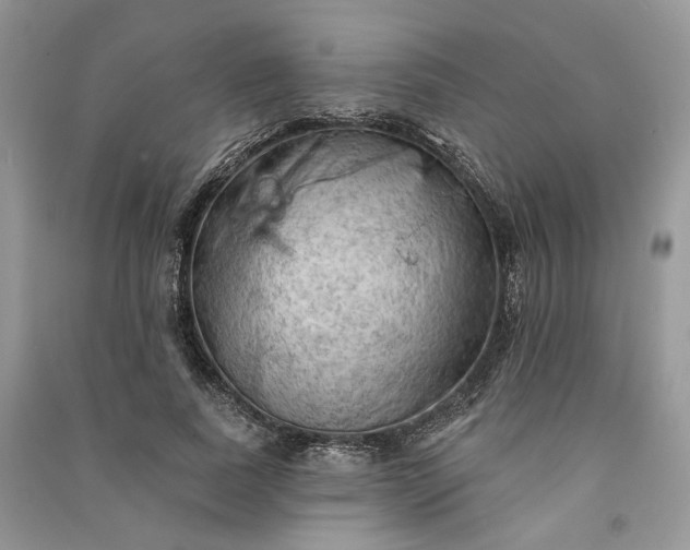 X0000090910739200708131412