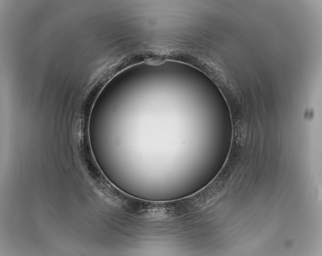 X0000090910740200708131412