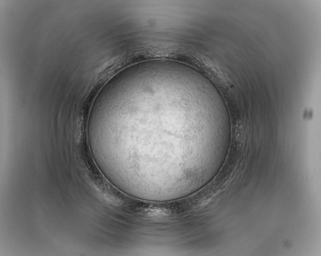 X0000090910741200708131412