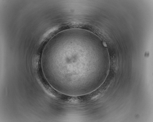 X0000090910742200708131412