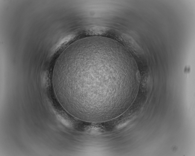 X0000090910743200708131412