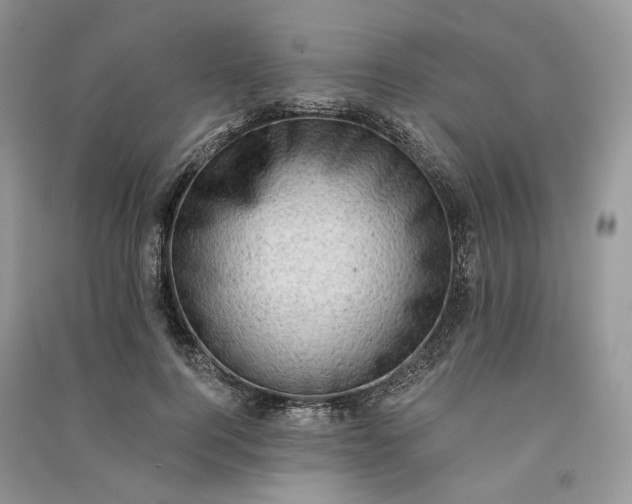 X0000090910744200708131412