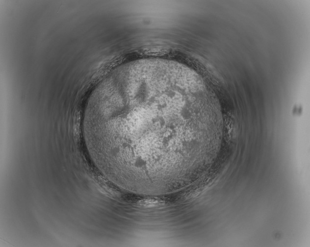 X0000090910745200708131412