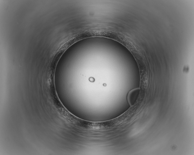 X0000090910746200708131412