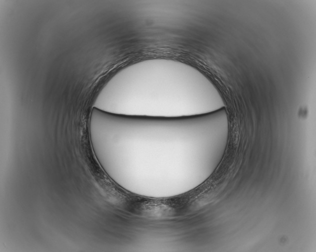 X0000090910747200708131412