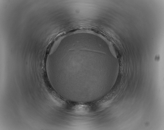 X0000090910748200708131412