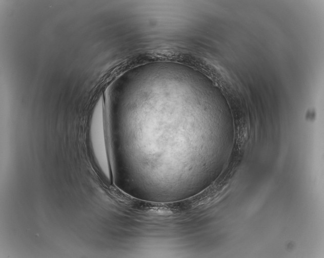 X0000090910749200708131412