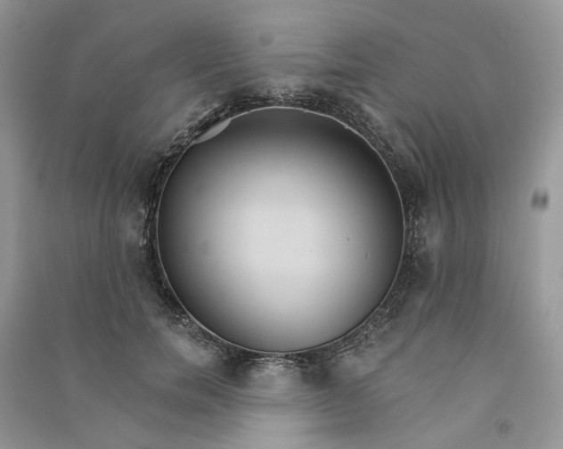 X0000090910750200708131412