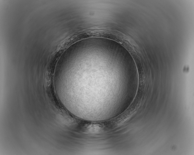 X0000090910751200708131412