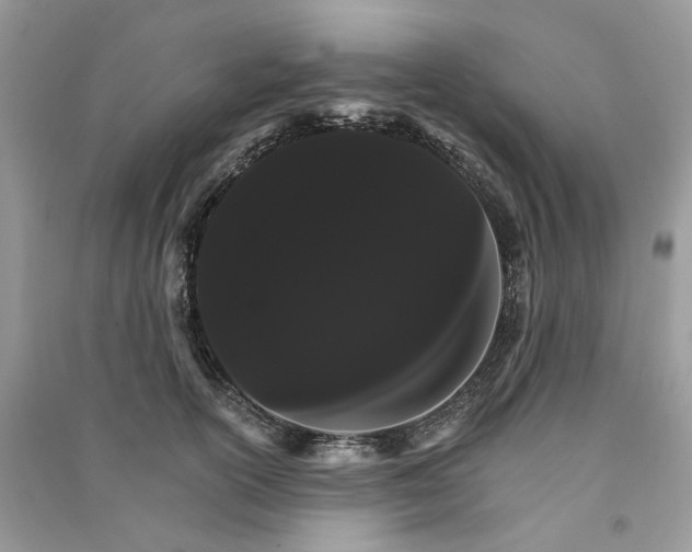 X0000090910754200708131412