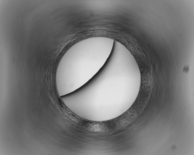 X0000090910755200708131412