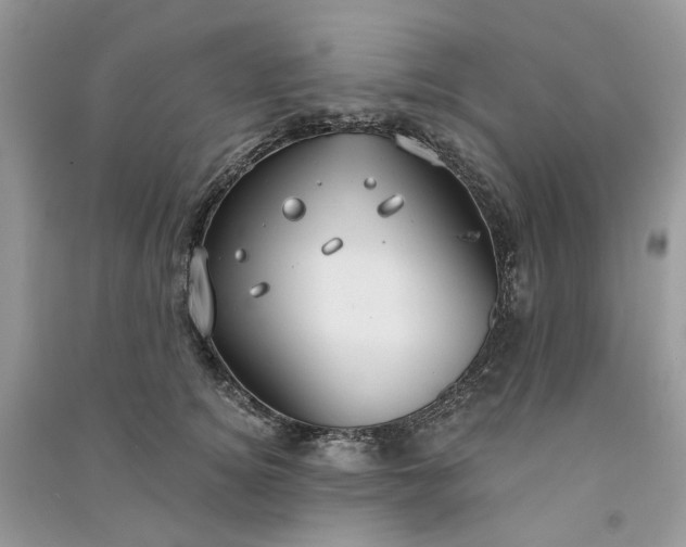 X0000090910756200708131412