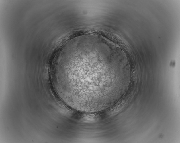 X0000090910757200708131412