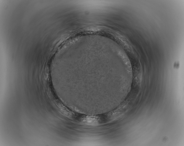 X0000090910758200708131412