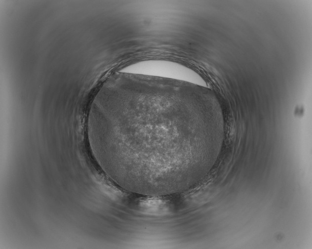 X0000090910759200708131412